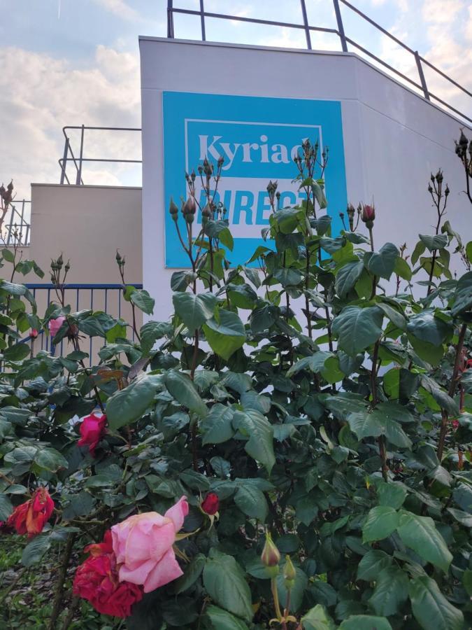 Kyriad Direct Lyon Nord - ダルディリー エクステリア 写真